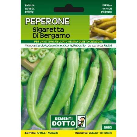 DOTTO SEMI DI PEPERONE SIGARETTA DI BERGAMO