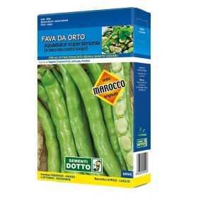 SEMI DI FAVA SUPERAGUADULCE DOTTO KG. 1