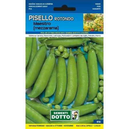 SEMI DI PISELLO ROTONDO MAESTRO MEZZA RAMA GR. 500