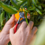 FELCO ART. 330 CESOIETTA COGLIFRUTTA CON LAMA CURVA IN ACCIAIO AL CARBONIO