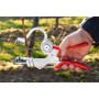 BELI BINDER PROFESSIONAL GERMAN MANUAL FOR FRUIT PLANTS KIWI