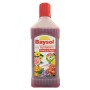BAYSOL LIQUID FERTILIZER FOR NUTRITION OF FLOWERING PLANTS ML.