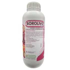 FERTENIA BOROLIVO CONCIME FOGLIARE A BASE DI BORO KG. 1