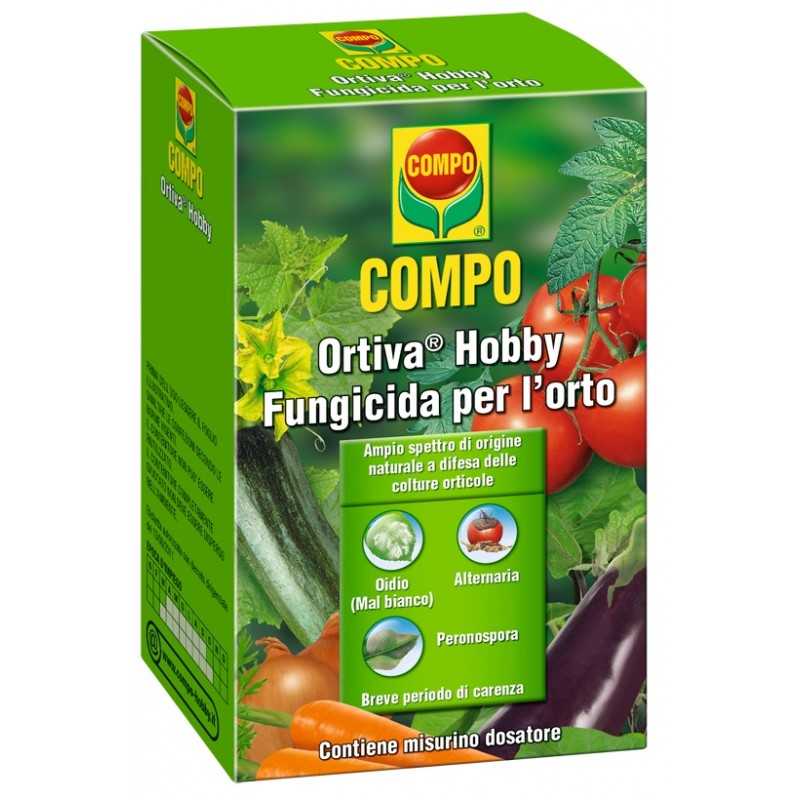 Compo fiore 60 giorni tempo 750 ml, viola, 6.4 x 9.3 x26 cm 20821