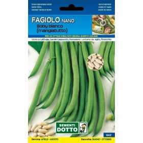 SEMI DI FAGIOLO NANO MANGIATUTTO BOBY BIANCO GR. 250
