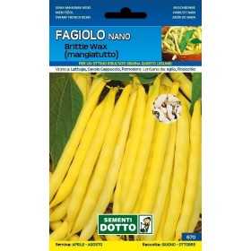 SEMI DI FAGIOLO NANO TEMA MANGIATUTTO BRITTLE WAX GR. 500