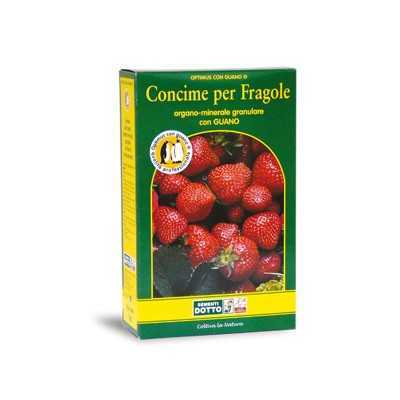 OPTIMUS FERTILIZER WITH GRANULAR STRAWBERRY GUANO KG.2.5