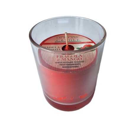 Candela profumata Fragola e Mango con bicchiere