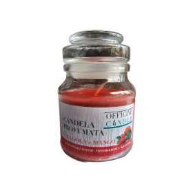Candela profumata Fragola e Mango con bicchiere cm. 7x10