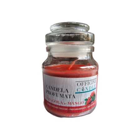 Candela profumata Fragola e Mango con bicchiere cm. 7x10