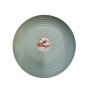 Piatto CLASSIC 25 CM VERDE 441 F18 JAR