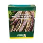 SEMI DI FAGIOLO NANO MANGIATUTTO MERVEILLE DE PIEMONTE GR. 250