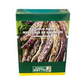 SEMI DI FAGIOLO NANO MANGIATUTTO MERVEILLE DE PIEMONTE GR. 250