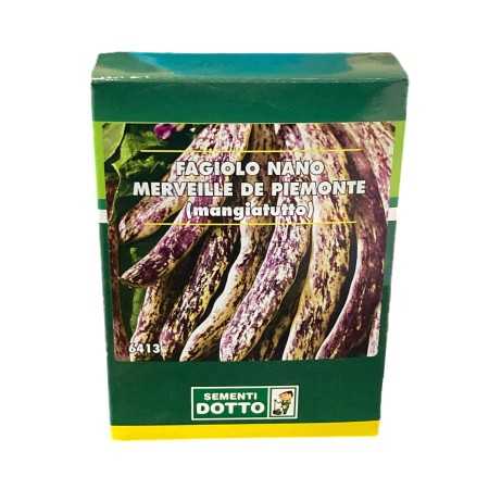 SEMI DI FAGIOLO NANO MANGIATUTTO MERVEILLE DE PIEMONTE GR. 250