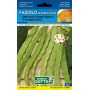 SEMI DI FAGIOLO RAMPICANTE MANGIATUTTO MARCONI GRANO BIANCO GR.