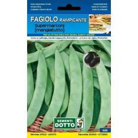 SEMI DI FAGIOLO RAMPICANTE MANGIATUTTO SUPERMARCONI GR. 250