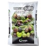 CONCIME SPECIFICO PER OLIVO VIGORSTART NPK 14.7.7 CON