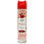 IRGE DEODORANTE AMBIENTE SPRAY MELOGRANO ML. 300