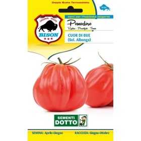 BISON TOMATO SEEDS CUOR DI BUE DI ALBENGA