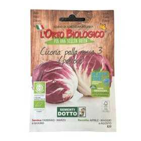 ORTO BIOLOGICO SEMI DI CICORIA PALLA ROSSA 3 PRECOCE