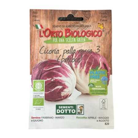 ORTO BIOLOGICO SEMI DI CICORIA PALLA ROSSA 3 PRECOCE