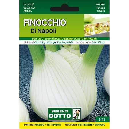 SEMI DI FINOCCHIO DI NAPOLI