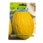 SEMI DI MELONE JAUNE CANARIA 2