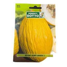 SEMI DI MELONE JAUNE CANARIA 2