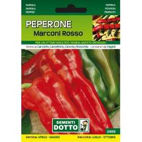 SEMI DI PEPERONI MARCONI ROSSO
