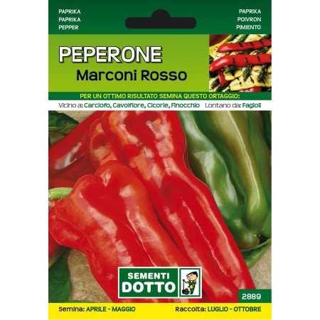 SEMI DI PEPERONI MARCONI ROSSO