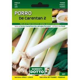 SEMI DI PORRO DE CARENTAN 2