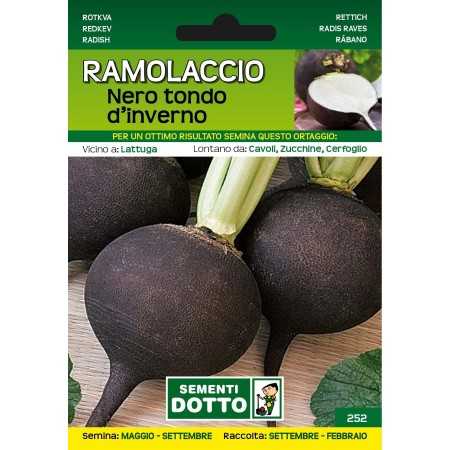 SEMI DI RAMOLACCIO NERO TONDO D'INVERNO