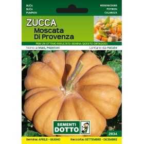 SEMI DI ZUCCA MOSCATA DI PROVENZA