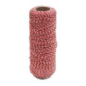 LENZA PER MURATORE IN PP BIANCO ROSSO MT. 100