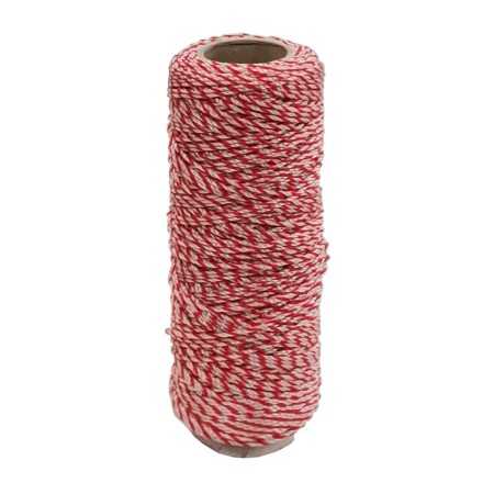 LENZA PER MURATORE IN PP BIANCO ROSSO MT. 100