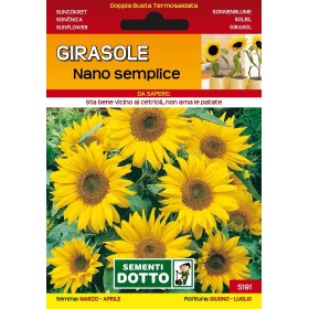 SEMI DI EXTRA_GIRASOLE NANO IN MIX