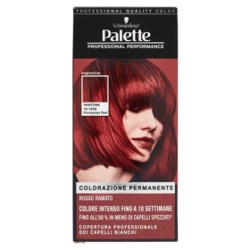 PALETTE 5.72 ROSSO RAMATO PANTONE