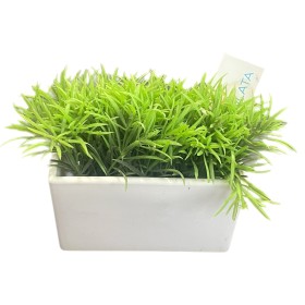 Pianta artificiale decorativa in vaso bianco effetto realistico cm. 14,5x13h.