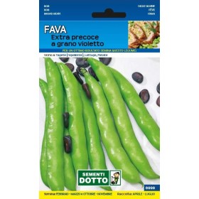 SEMI DI FAVA EXTRA PRECOCE A GRANO BIANCO KG. 1