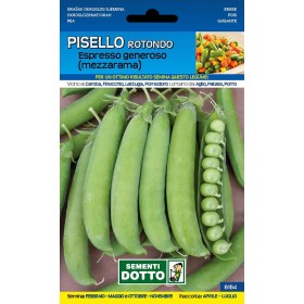 SEMI DI PISELLO MEZZARAMA ESPRESSO GENEROSO KG. 0,500