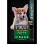 FARMINA CIBAU CROCCANTINI PER CANI ADULT MEDIUM KG. 2,5