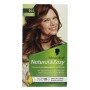 NATURAL & EASY  565 CASTANO DORATO