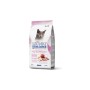 LECHAT EXC. APPET.DIFF MAIALE kg.1,5