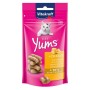 CAT YUMS FORMAGGIO 40 GR