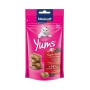 CAT YUMS +SUPERFOOD SAMBUCO 40G