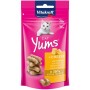 CAT YUMS PATE DI FEGATO 40 GR