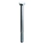 BOLT STEEL 1/2 THREADED T.E. UNI-5737 12x100