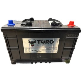 TORO BATTERIA C13 PER DAYLY 12V 110Ah 800AEN CON POLO POSITIVO A DESTRA