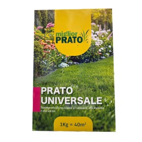 MIGLIOR PRATO UNIVERSALE MISCUGLIO COMPOSTO DA FESTUCA E LOLIUM PERENNE KG. 1