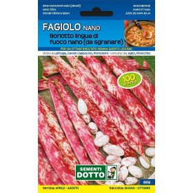 SEMI DI FAGIOLO BORLOTTO ROSSO NANO DA SGRANARE GR. 250
